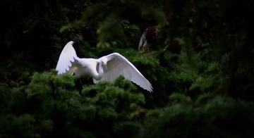 DSC01986_