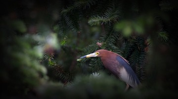 DSC01988_