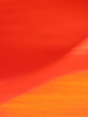 Flamenco03
