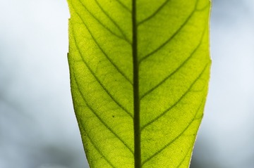 _IMG2032