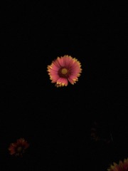D739F6DD-37EE-4059-A3C6-230E8FB1732D/L0/001
