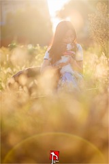 ZXY_9070