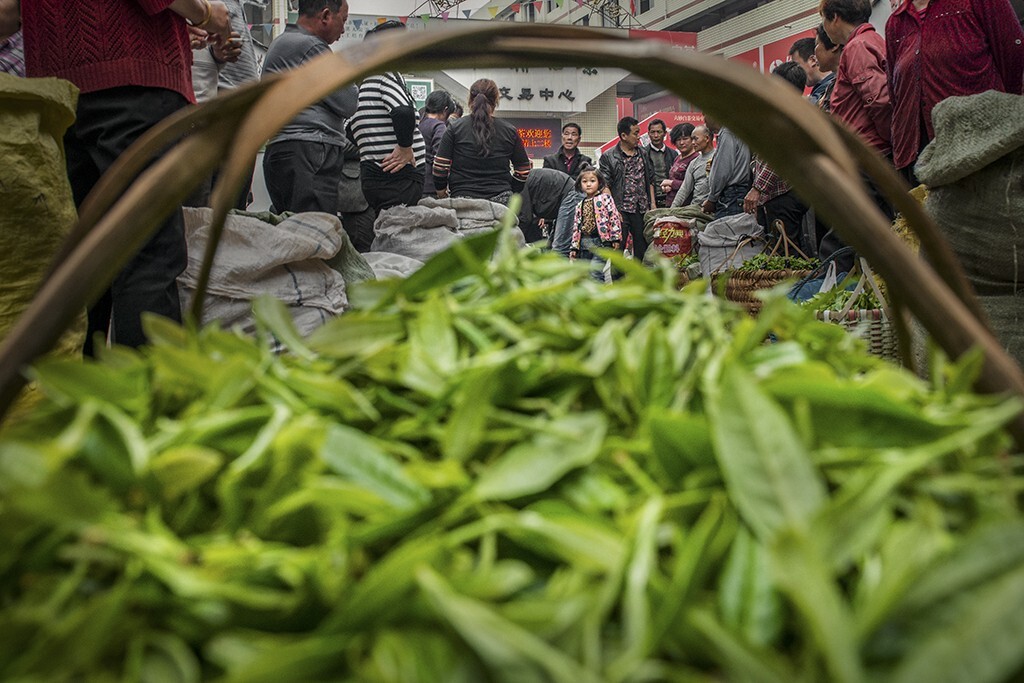 利用竹篮子、茶青作为前景，低角度拍摄茶市忙碌的茶农，别有一番风味。