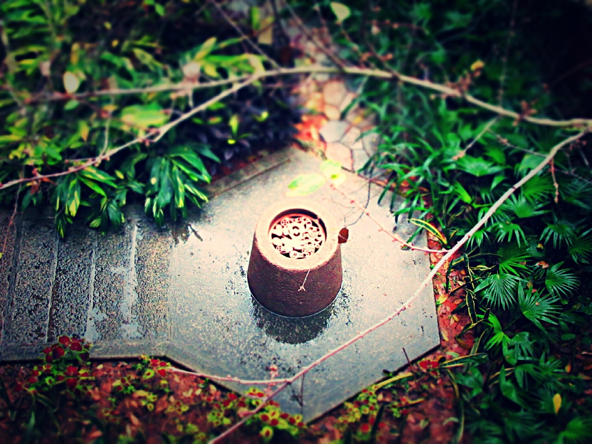 院落中不经意发现的一口井,看起来并不古老,更不是现代产物.