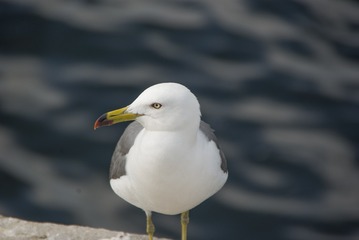 910298