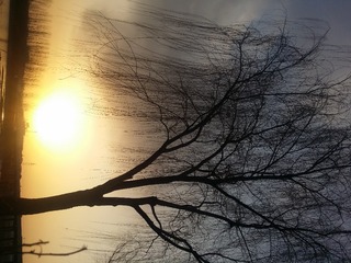 20160220_072531