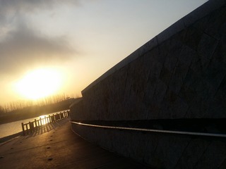 20160220_072923