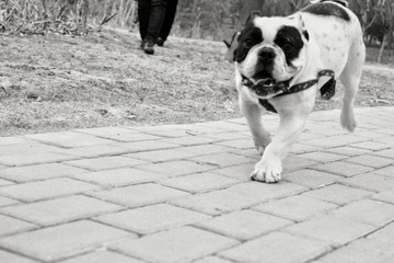 20160330153007_IMG_2206-01