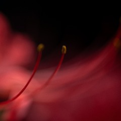 11837