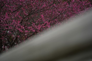 8AA3BE96-713F-412D-85D5-3AC7AF6EF563/L0/001