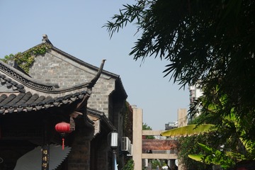 SAM_0356