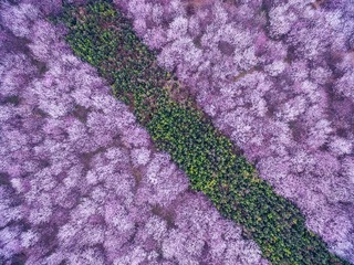 DJI_0490