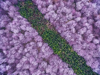 DJI_0490