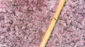 DJI_0036-编辑