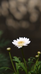 1296101