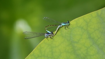IMG_20170624_210558