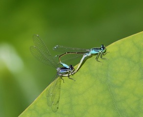 IMG_20170624_210503