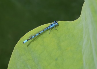 IMG_20170624_210320