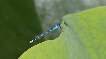 IMG_20170624_210243