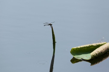 IMG_20170629_211021