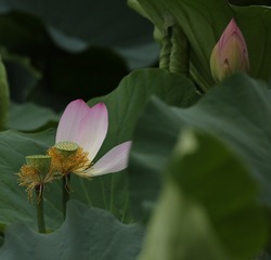 IMG_20170723_210209