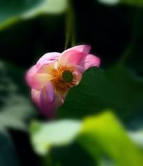 IMG_20170723_212153