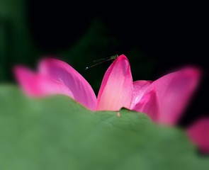 IMG_20170723_212023