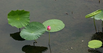 IMG_20170817_220612