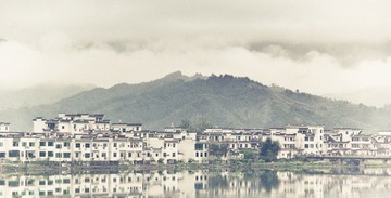 20100405-IMGP7398-6