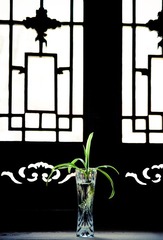20100416-IMGP7853