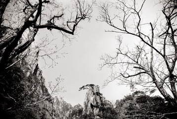 20100428-IMGP8075