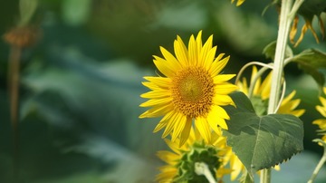 87E07480-BC13-41BD-9BEA-5D88743A6D72/L0/001