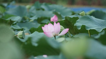 77C63C97-91F9-4960-BDD6-3C93C6CD5DC3/L0/001
