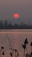 _DSC3302-1