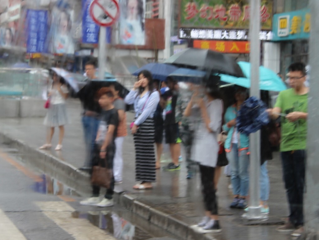 2016年7月16日，大连雨。在等待过街的朦胧行人中，只有她没有打伞。她清丽脱俗，宛若一朵兰花。