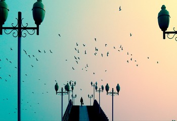 向远方_conew1