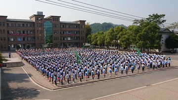 1257607
