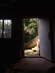 3070622