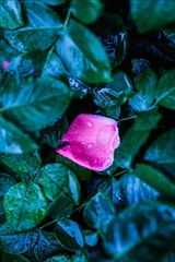 001