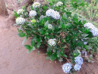SAM_0538
