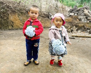 SAM_0545