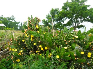 SAM_0582
