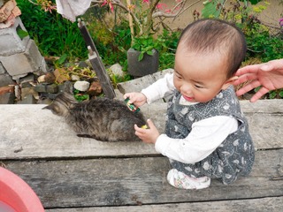 SAM_0587