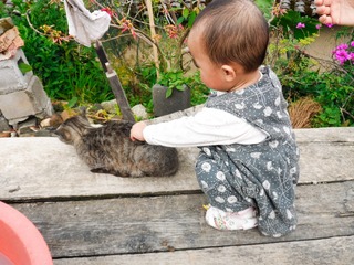 SAM_0588