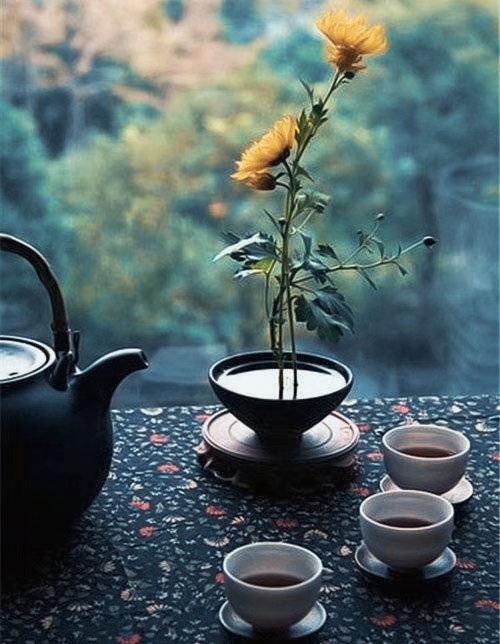 半盏清茶观浮沉人生一颗静心看清凉世界