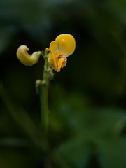 9C4274E1-36F5-4509-8068-2D6FB22FB3D4/L0/001