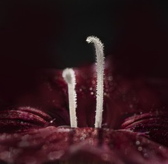 9773204D-7E75-4ED6-942D-5B4406C73510/L0/001