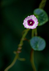 A54230D0-71FC-40A1-A3BE-28FB5D65BBD0/L0/001