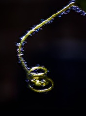 2496C08C-80B3-4E1A-89CD-9EE2CB5304D7/L0/001