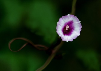 32F1358D-6F10-4018-B1C1-E9FA979D873C/L0/001